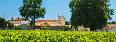 Château Potensac - Médoc/Bordeaux