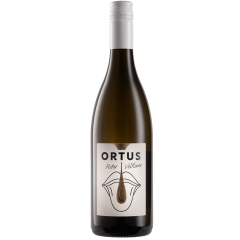 Ortus - Roter Veltliner Manhartsberg 2024