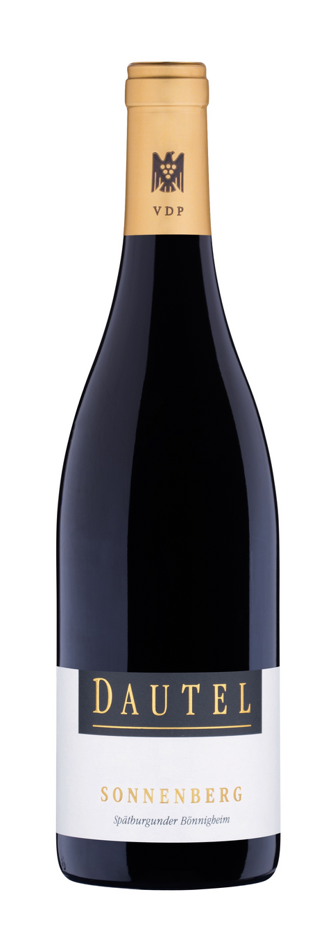 Weingut Dautel - Spätburgunder Sonnenberg 1.Lage 2021