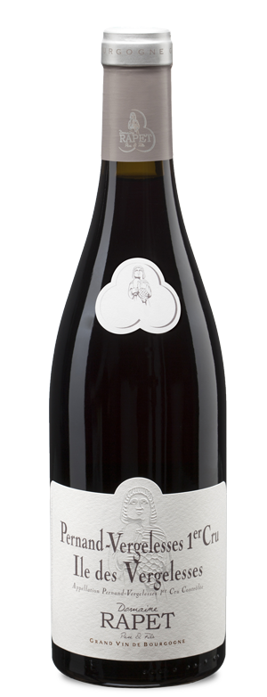 Rapet & Fils - Pernand 1er Cru Ile de Vergelesses 2023
