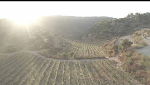 Israel