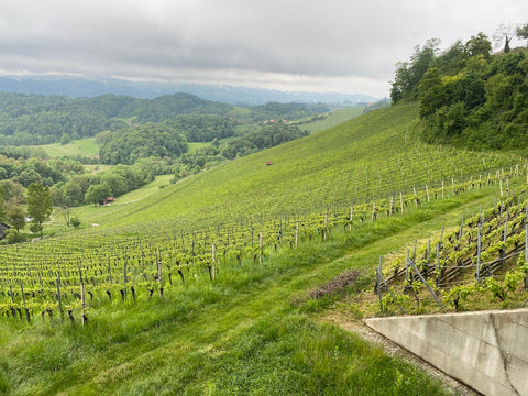 Südsteiermark