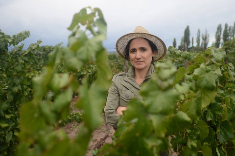 Catena Zapata - Mendoza