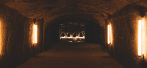 Clos Rougeard - Saumur/Loire