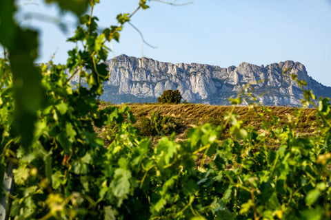 Rioja