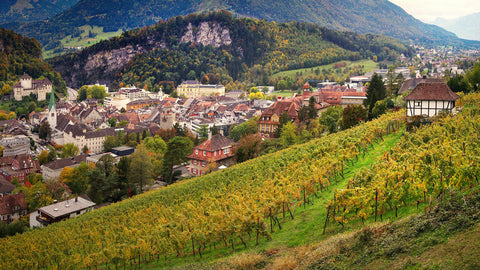 Bergland