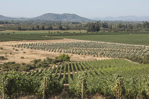 Valle de Colchagua