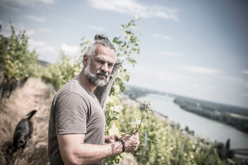 Weinmanufaktur Strobl – Wagram
