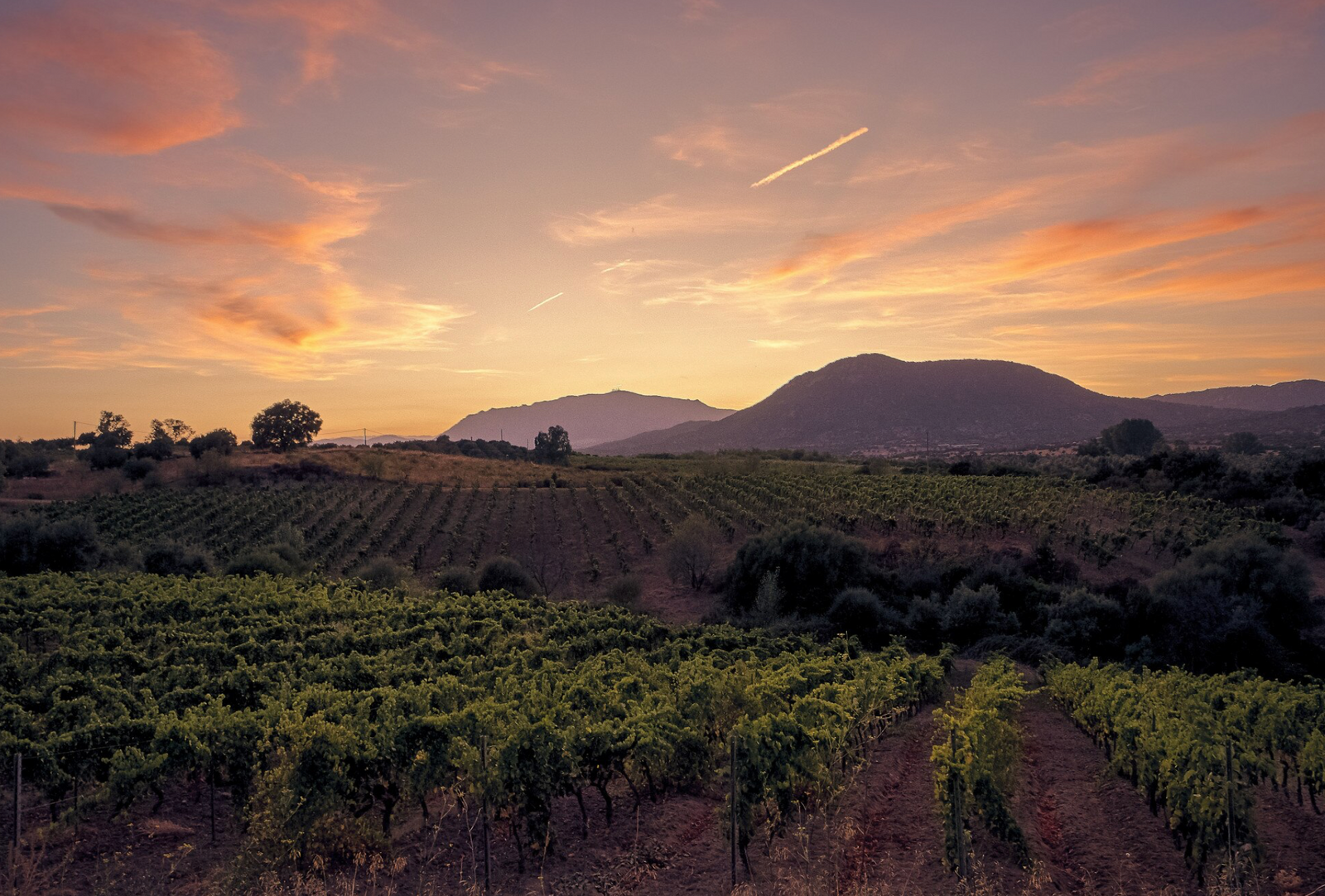 Lamblin & Fils – Chablis/Burgund