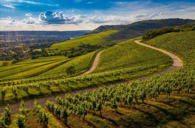 Chateau Daugay – St. Emilion Grand Cru/Bordeaux
