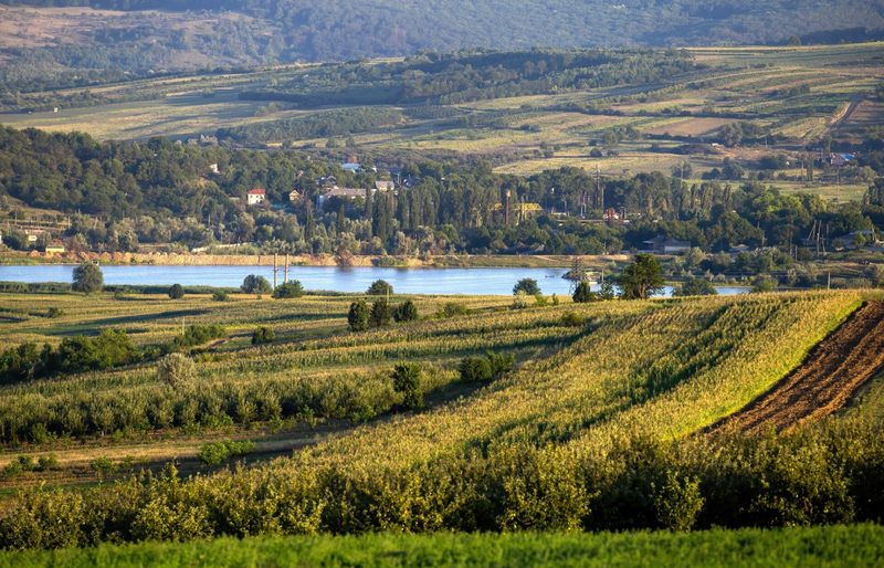 Pfalz