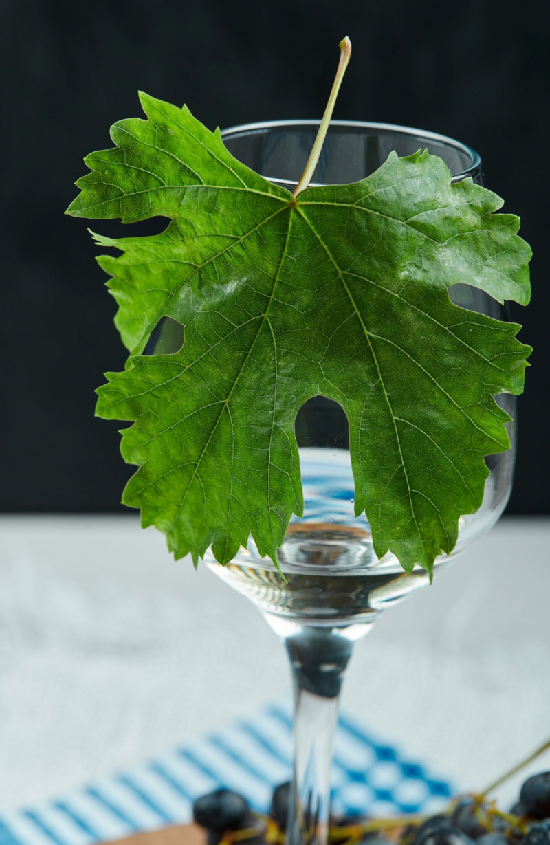 Weingut Strehn - Mittelburgenland