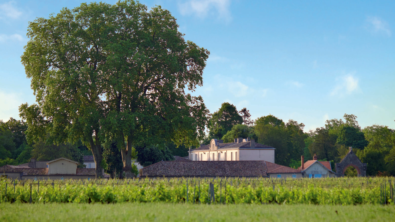 Château Bastor-Lamontagne