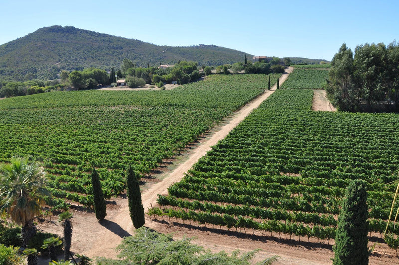 Côtes de Provence