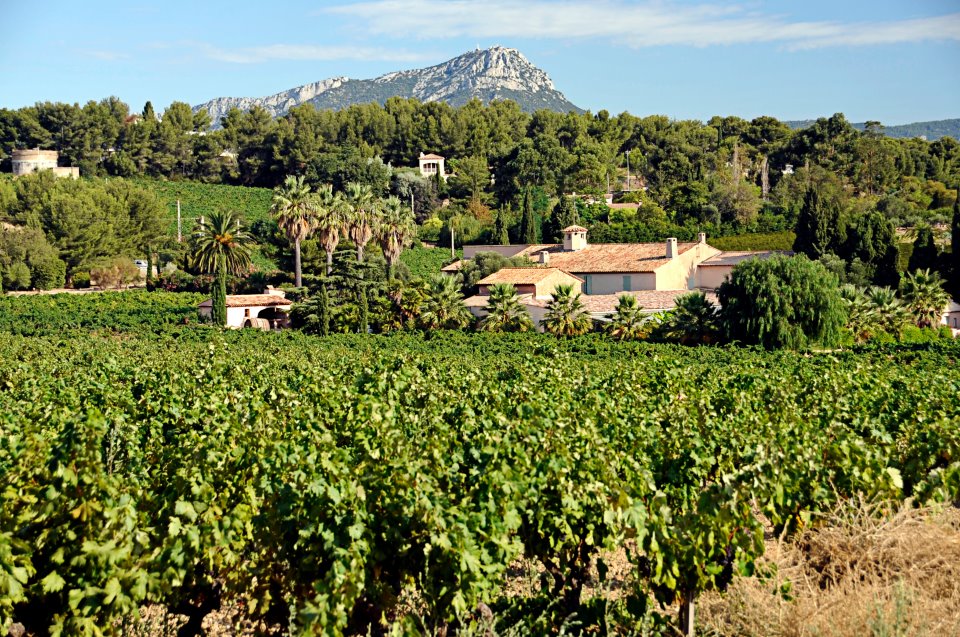 Clos Cibonne