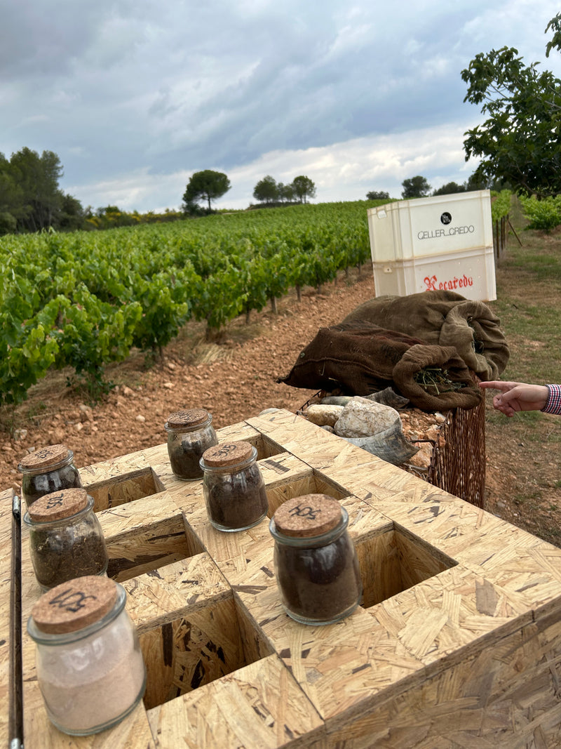 Biodynamische Weine
