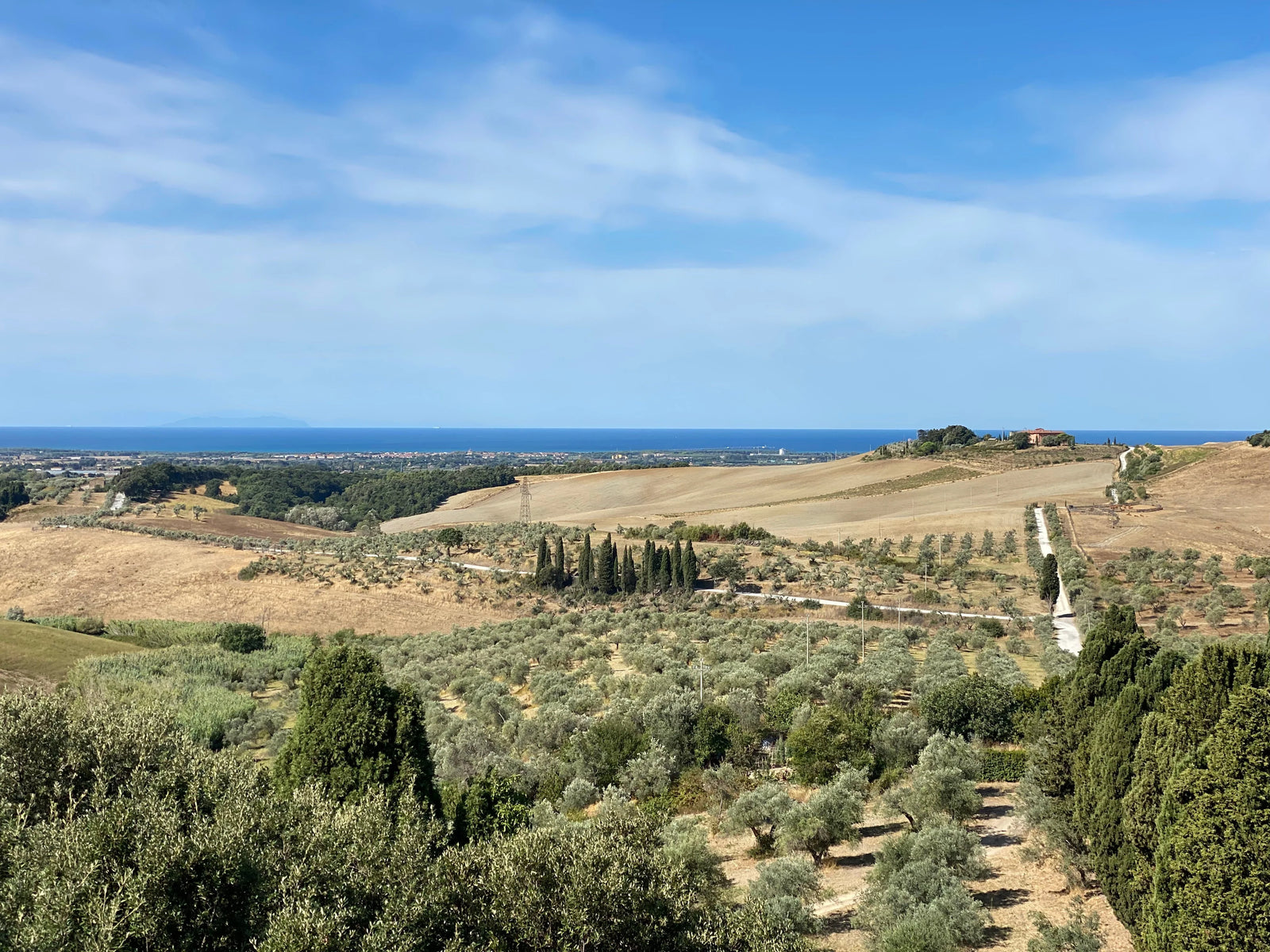 Castello del Terriccio  Toskana