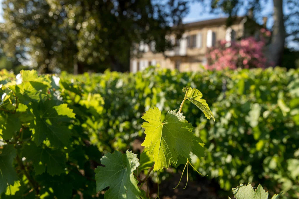 Chateau Daugay 