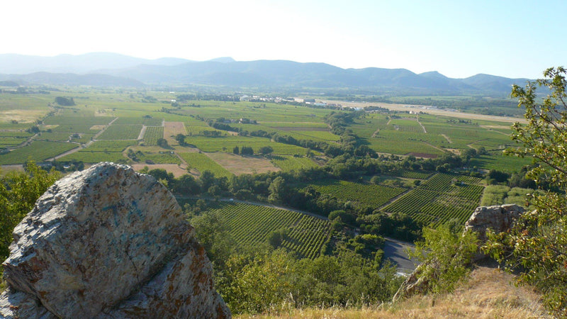 Côtes de Provence
