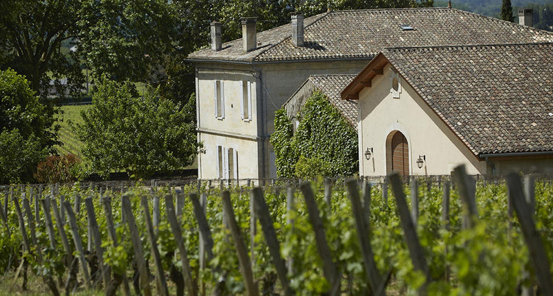 Chateau Daugay – St. Emilion Grand Cru/Bordeaux