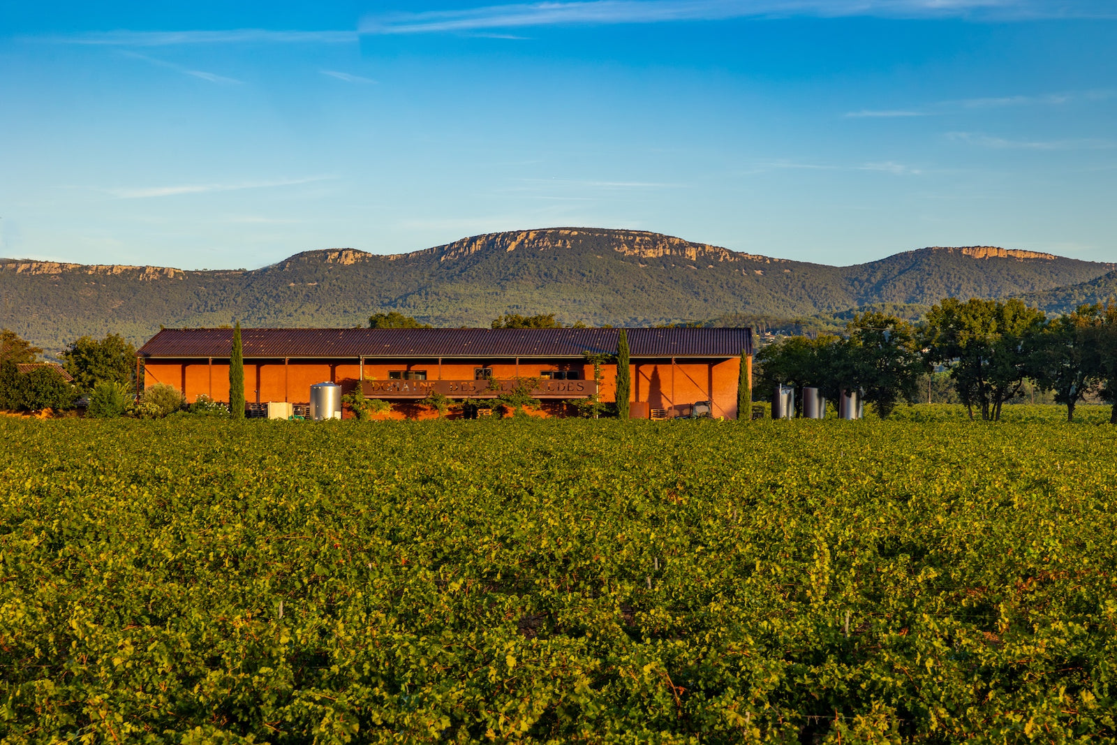 Domaine des Peirecedes