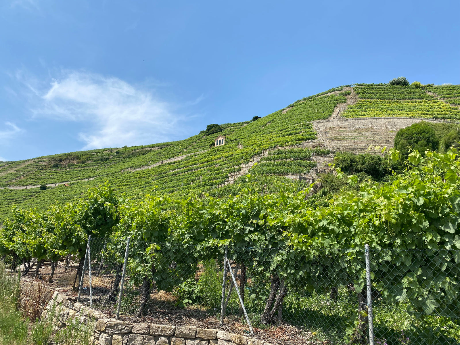 Württemberg