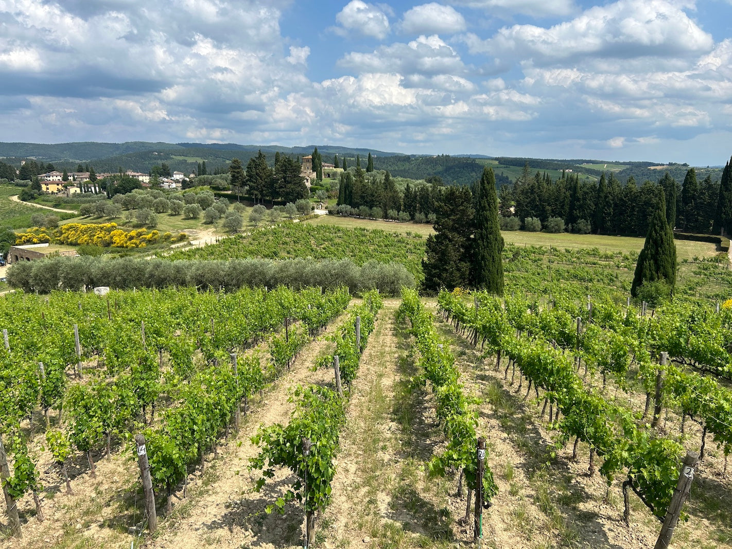 Castello di Monsanto