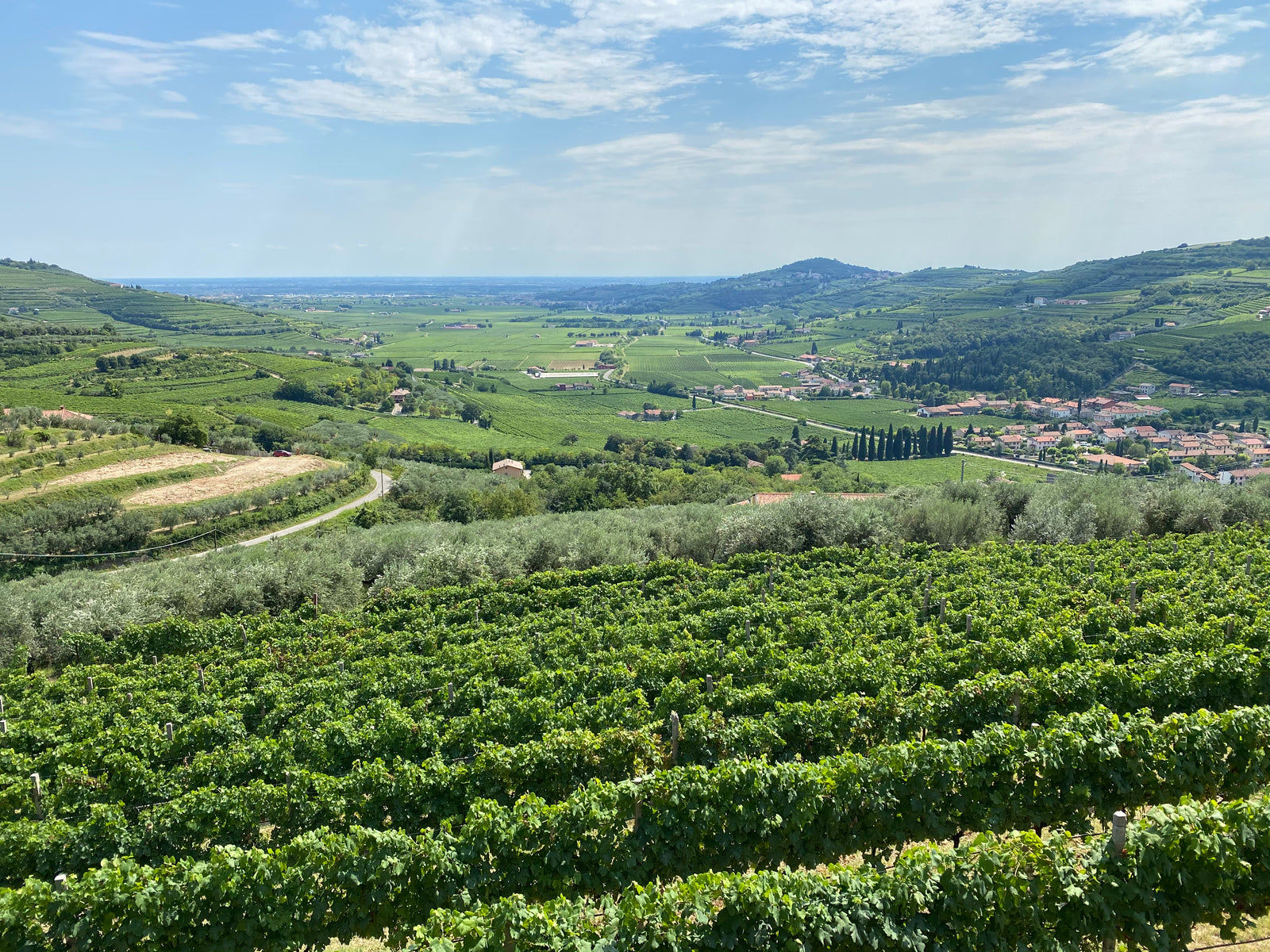 Azienda Agricola iTamasotti