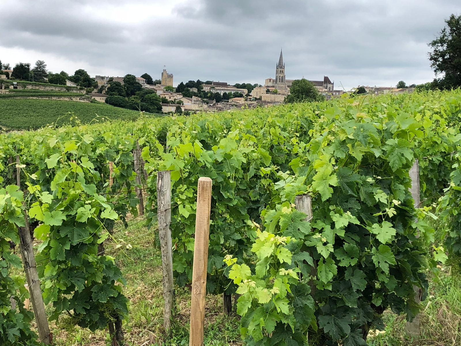 Bordeaux
