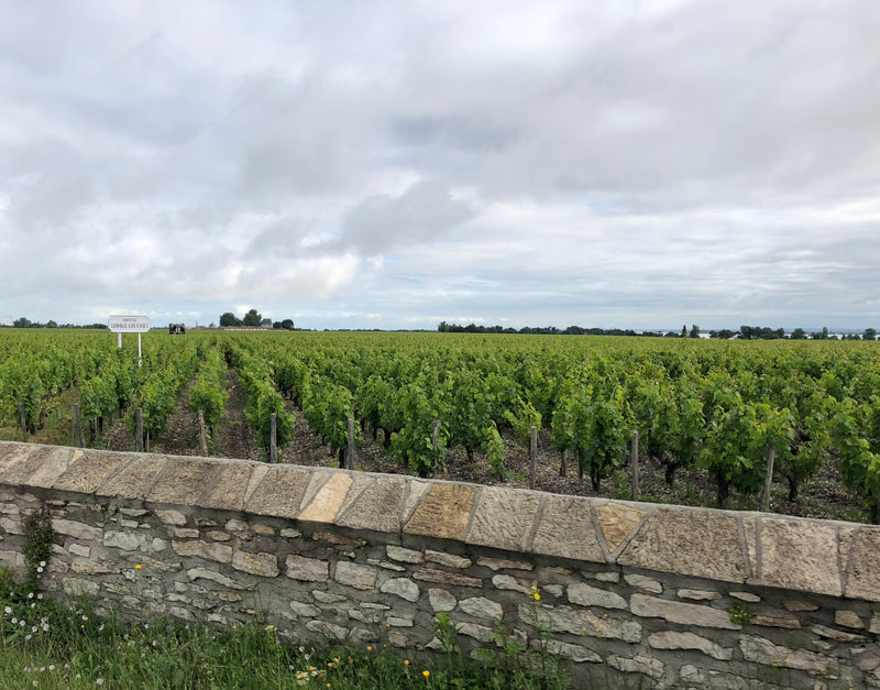 Bordeaux