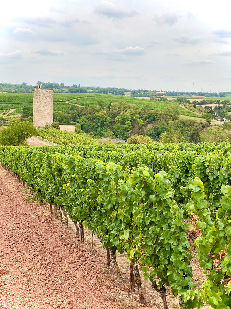 Rheinhessen