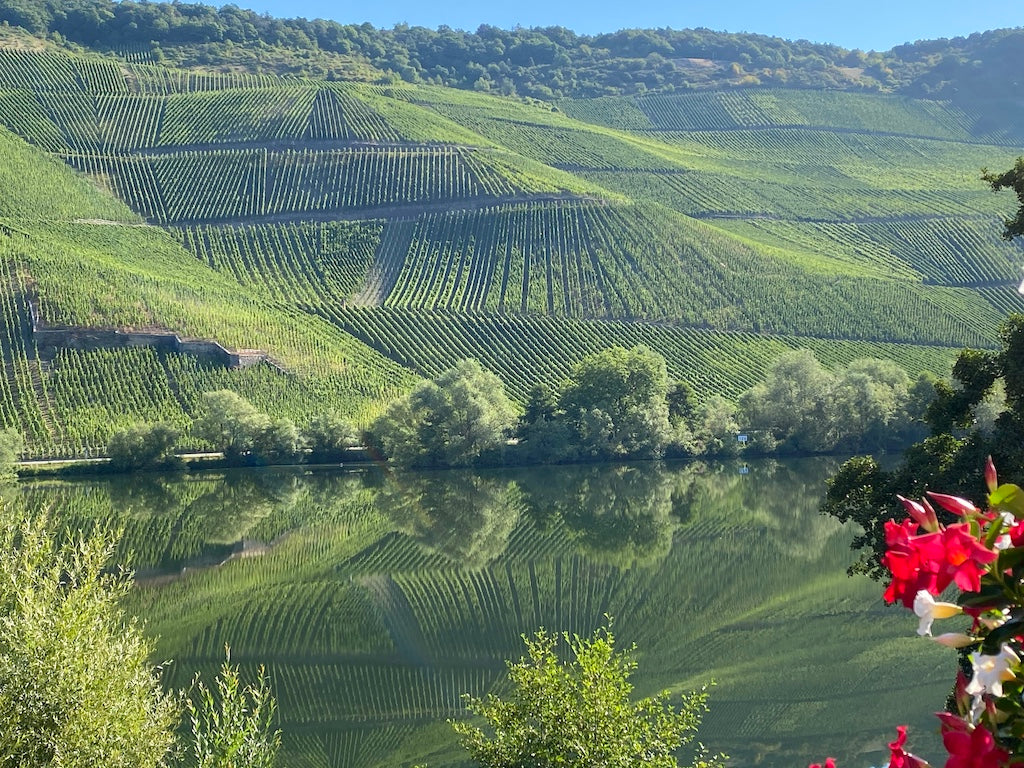 Mosel