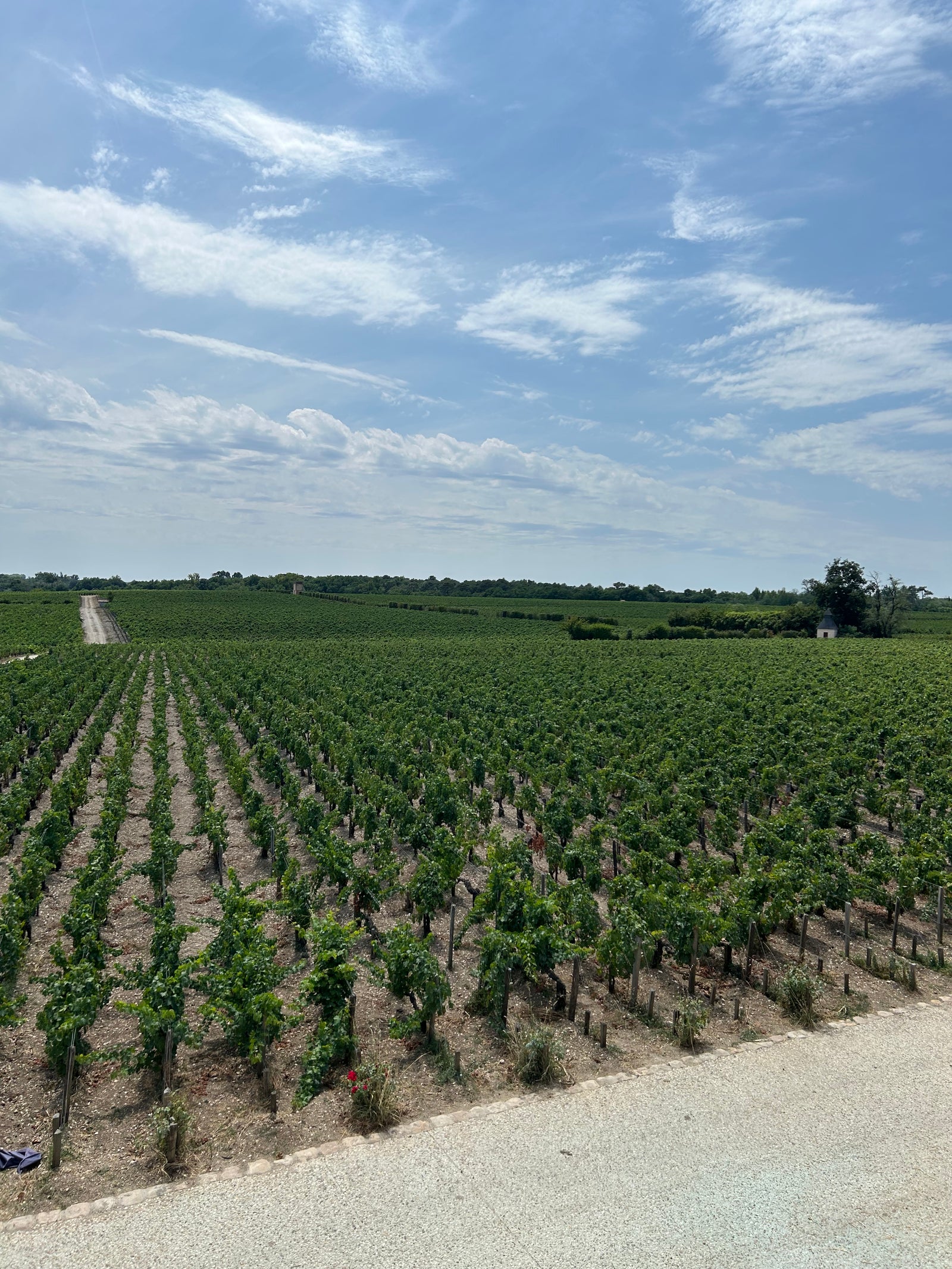 Château Pontet-Canet