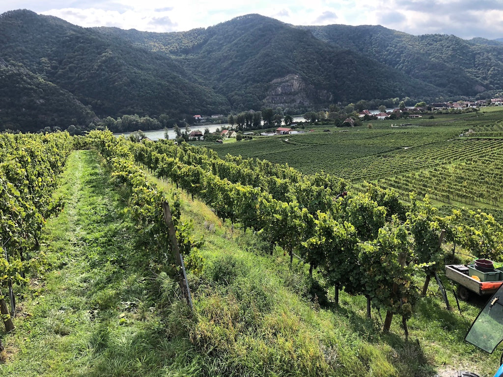 Wachau