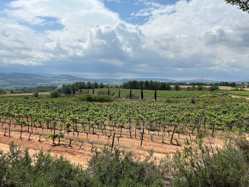 Penedès