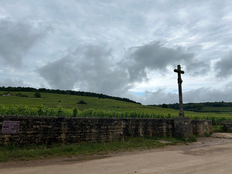 Burgund