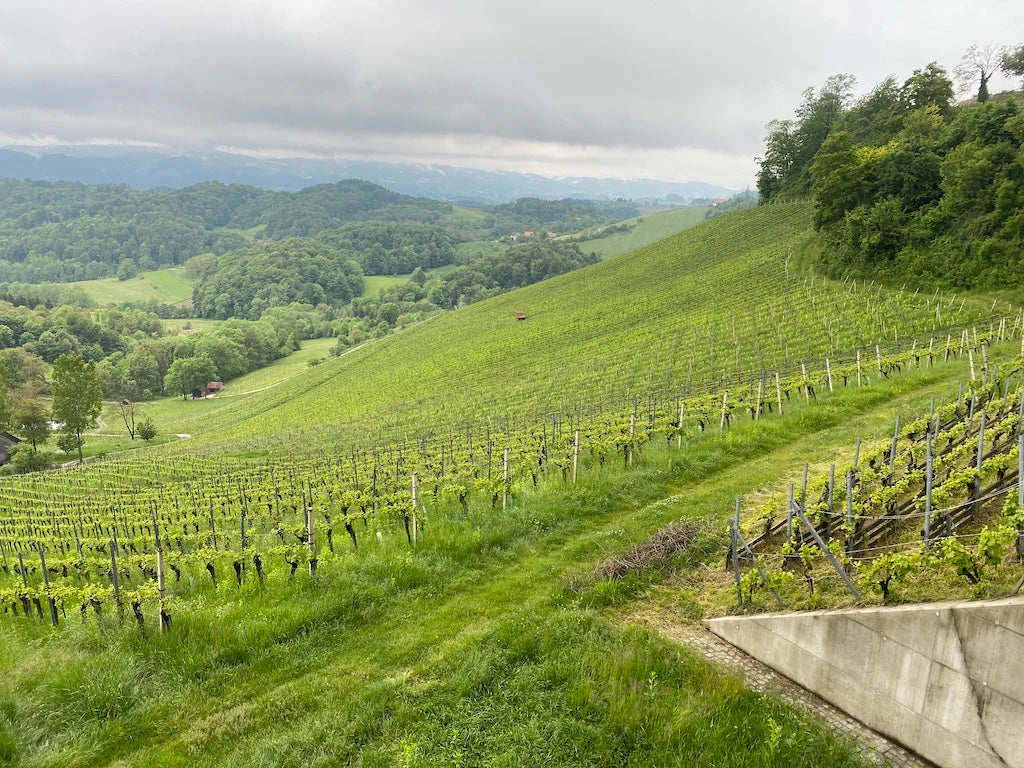 Südsteiermark