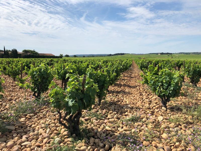 Rhône