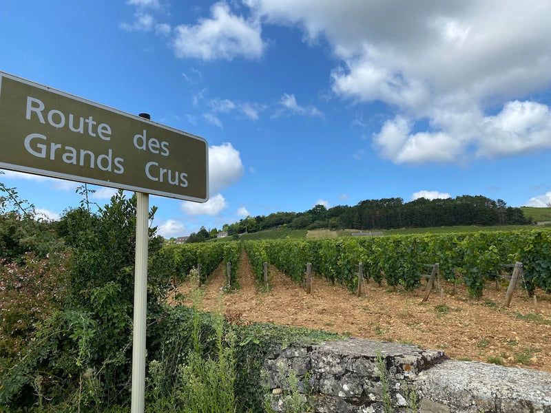 Burgund