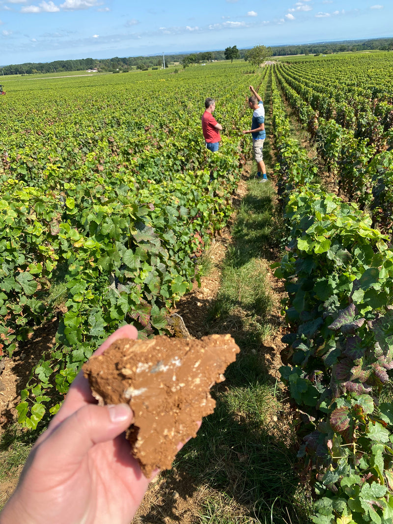 Burgund