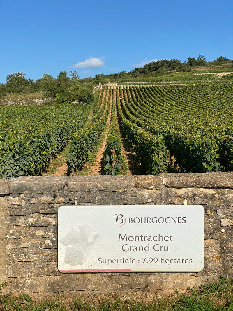 Burgund