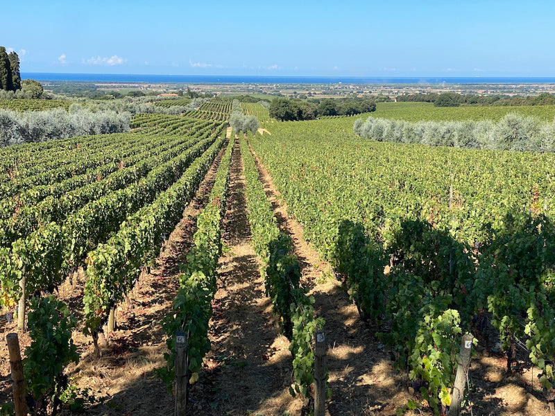 Italien