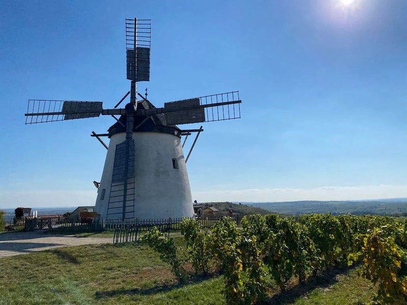 Weinviertel