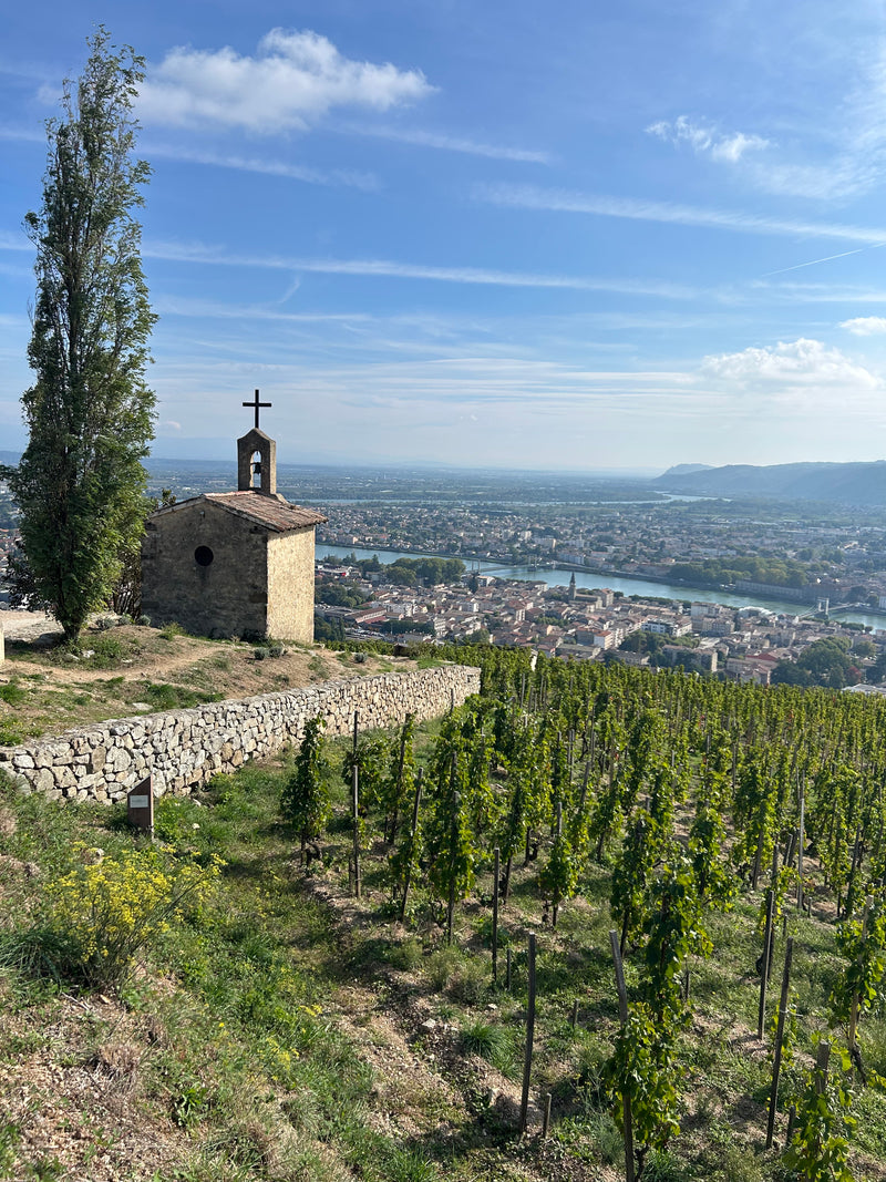 Rhône