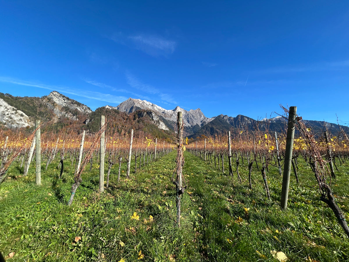 Schweiz