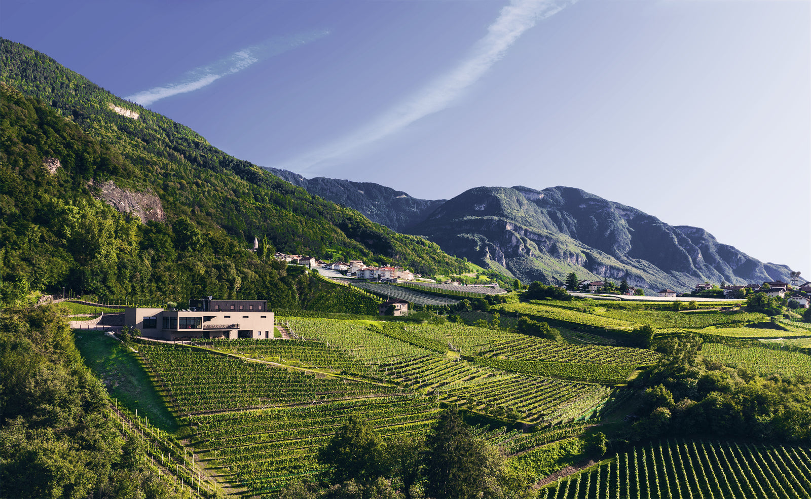 Weingut Pfitscher