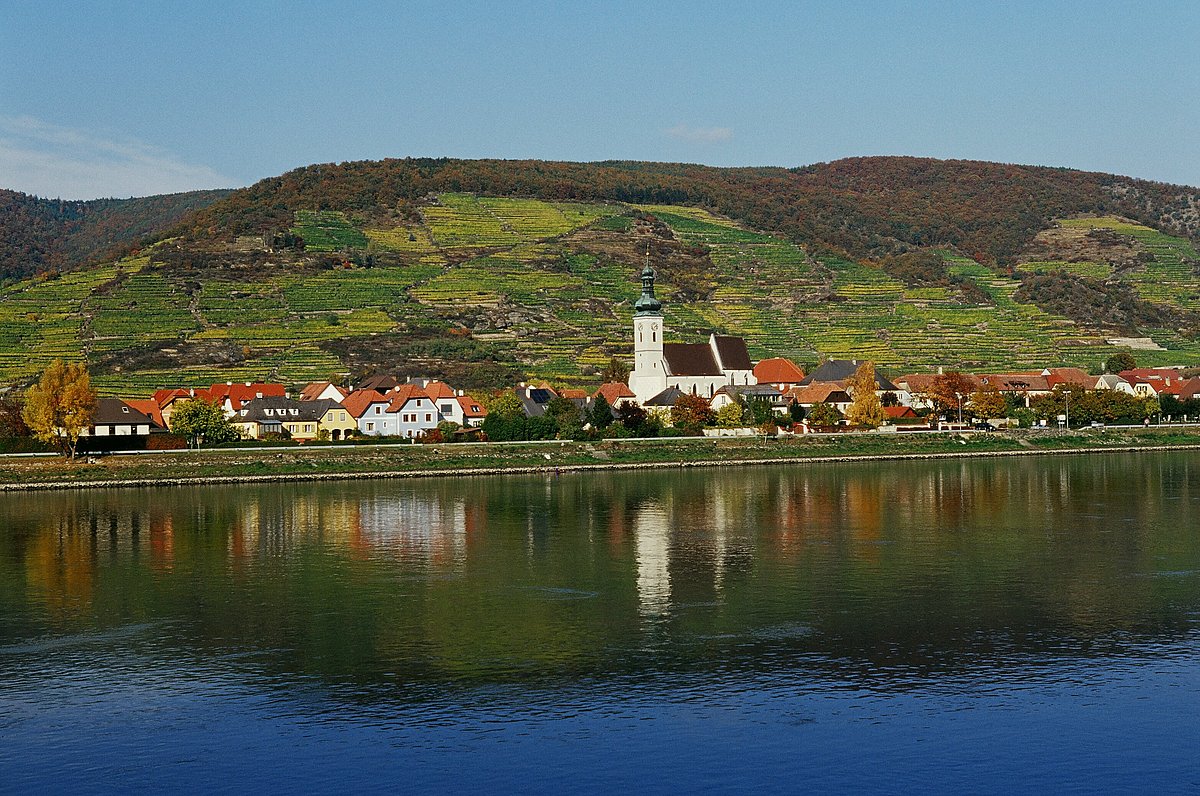 Weingut Knoll