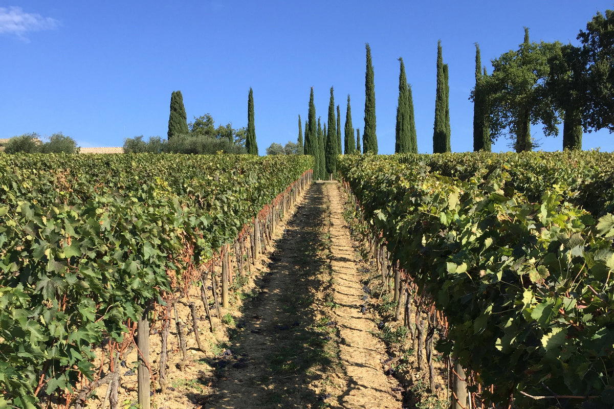 Montalcino