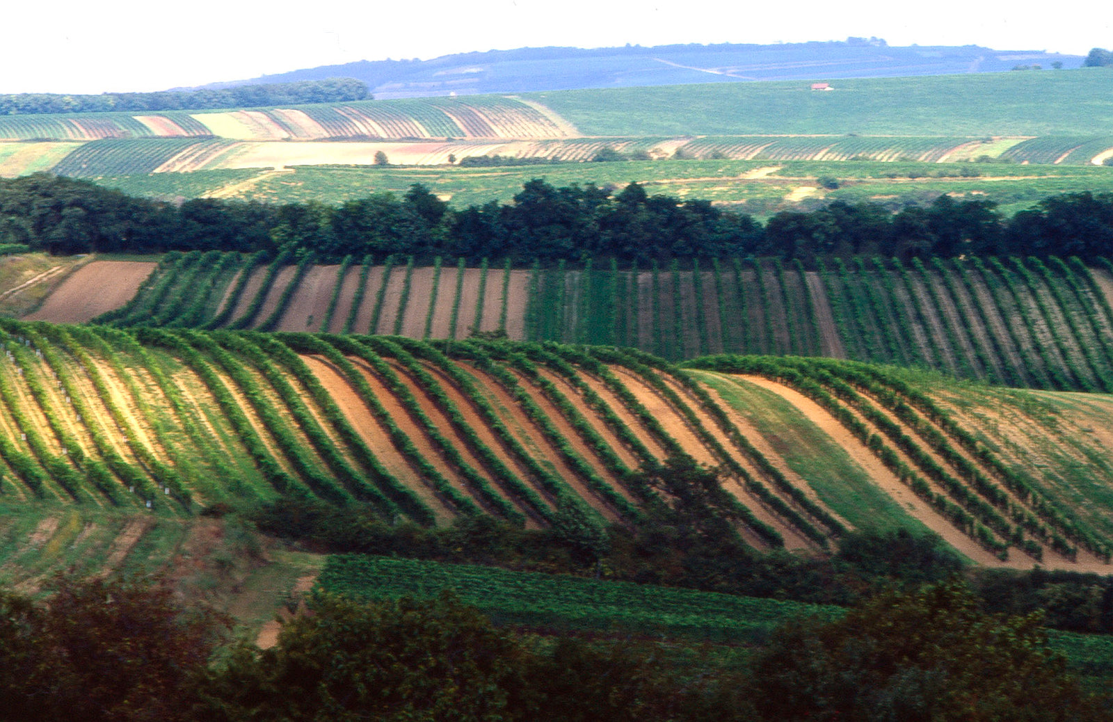 Weingut Humer