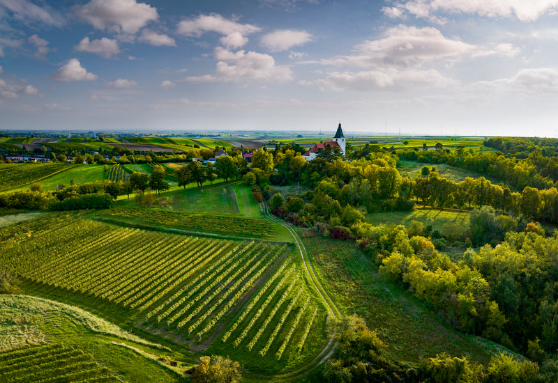 Weinviertel